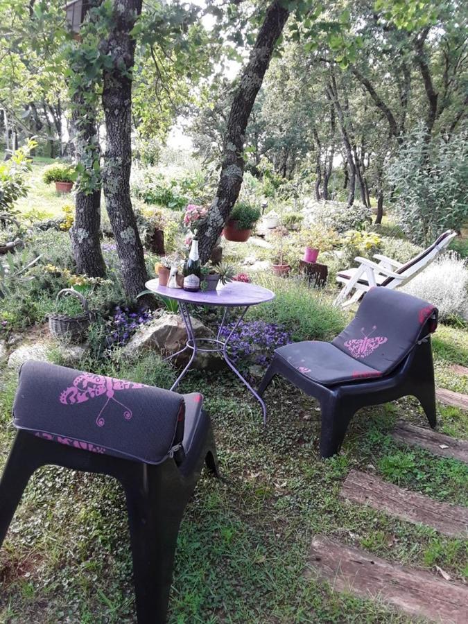 Apartments Bijou With Big Private Garden Near Umag Vilanija מראה חיצוני תמונה