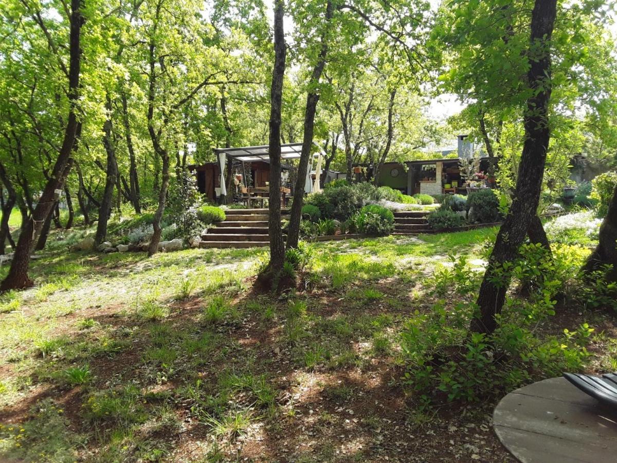 Apartments Bijou With Big Private Garden Near Umag Vilanija מראה חיצוני תמונה