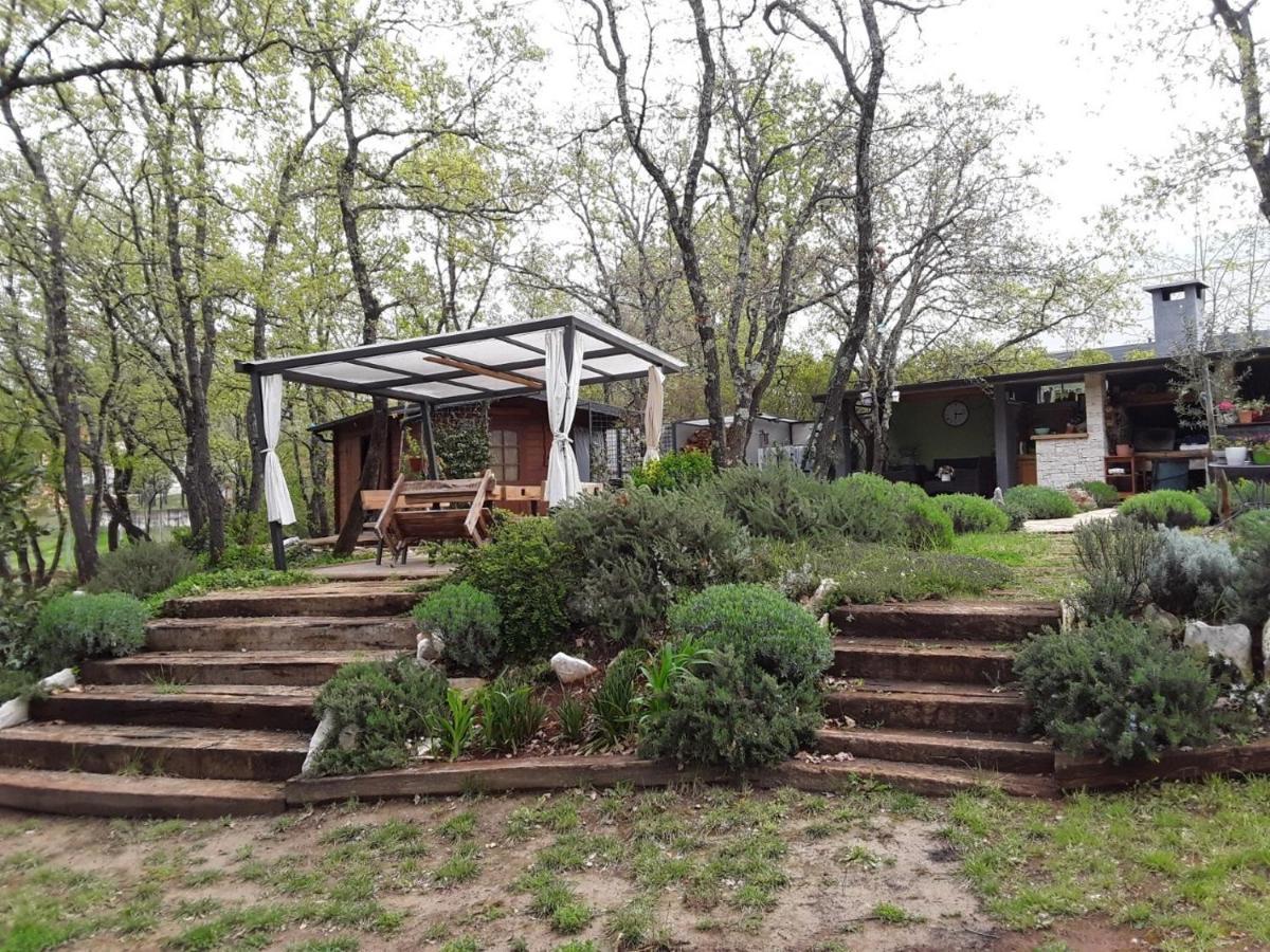 Apartments Bijou With Big Private Garden Near Umag Vilanija מראה חיצוני תמונה
